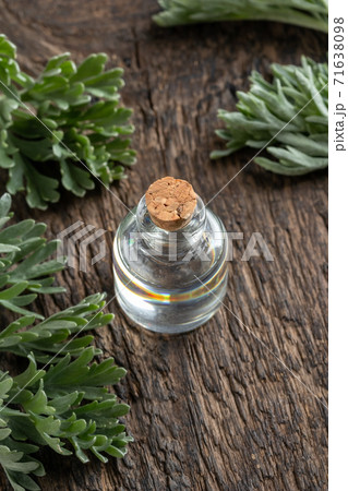 Essential oil bottle with fresh wormwood leaves Essential oil bottle with fresh wormwood leaves 71638098
