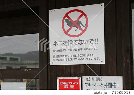 「ネコを捨てないで‼」と表記の、捨て猫禁止の張り紙 71639013