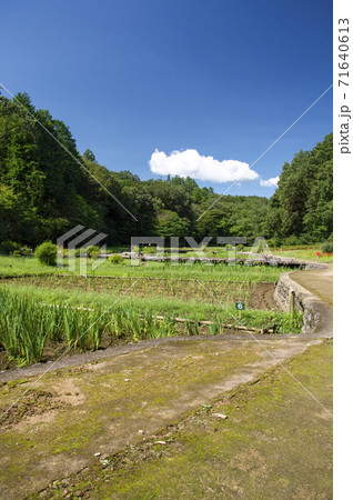 曼殊沙華咲くころの吹上しょうぶ公園 71640613