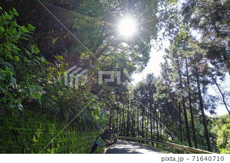 雨上がりの山道とオートバイ 71640710
