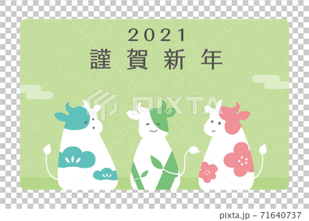 Illustration material of three cows with a pattern of Shochiku Ume 2021 New Year's card template Illustration material of three cows with a pattern of Shochiku Ume 2021 New Year's card template 71640737