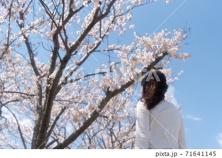 桜を眺める女性の後ろ姿の写真素材