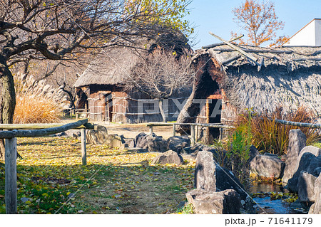 科野の里歴史公園（科野のムラ） 71641179