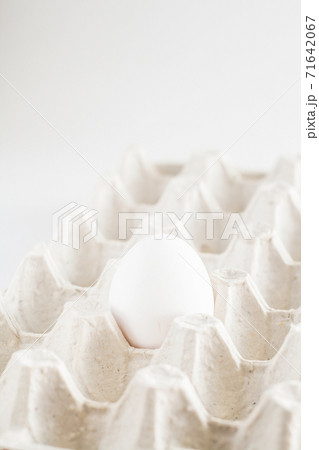 cardboard tray one white egg on a white background 71642067