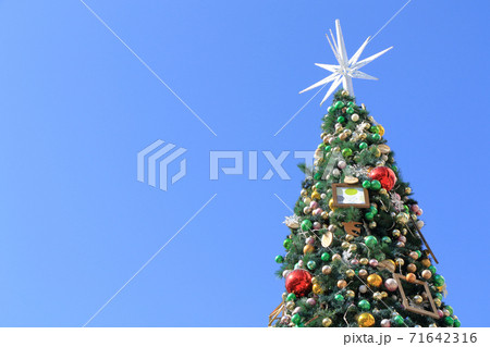 青空とクリスマスツリー 71642316