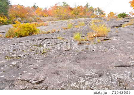 奇岩千畳岩 71642635