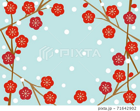 梅67 梅67 71642902