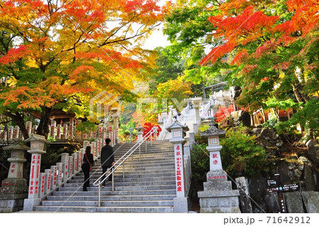 伊勢原市 紅葉に覆われた大山阿夫利神社(下社)境内の参道階段と標識 伊勢原市 紅葉に覆われた大山阿夫利神社(下社)境内の参道階段と標識 71642912