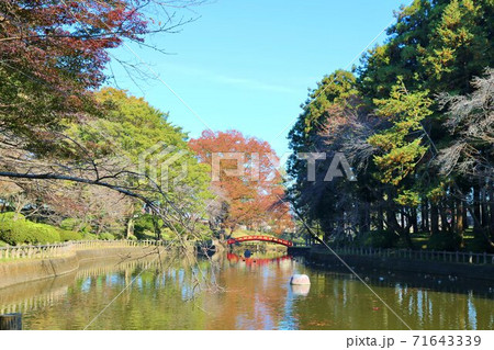 秋の彩り 癒しの散策 楽しむ 紅葉 風景  秋の彩り 癒しの散策 楽しむ 紅葉 風景  71643339