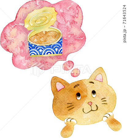 猫缶が食べたい猫の水彩イラスト 猫缶が食べたい猫の水彩イラスト 71643524