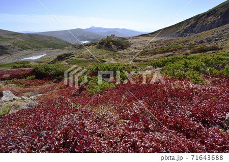 紅葉と白雲岳避難小屋（北海道・大雪山） 71643688
