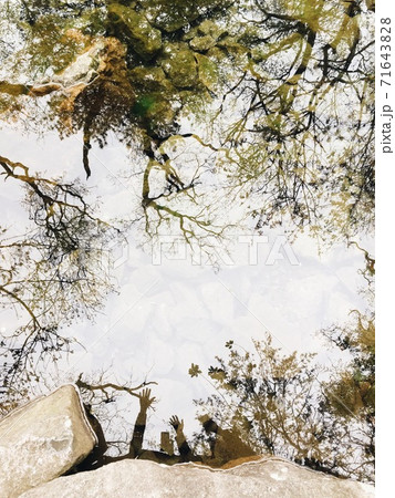 Hands and trees reflections in a pond Hands and trees reflections in a pond 71643828