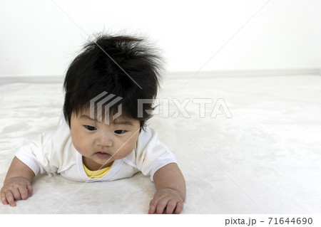 うつ伏せから頭を上げようとしている赤ちゃん(0歳、生後4か月、女の子) うつ伏せから頭を上げようとしている赤ちゃん(0歳、生後4か月、女の子) 71644690