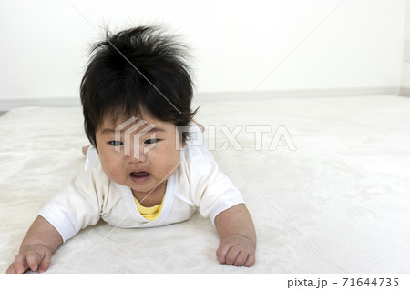 うつ伏せから頭を上げようとしている赤ちゃん 0歳 生後4か月 女の子 の写真素材