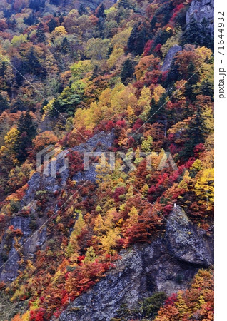 北海道豊平峡(ほうへいきょう)ダムの紅葉 北海道豊平峡(ほうへいきょう)ダムの紅葉 71644932