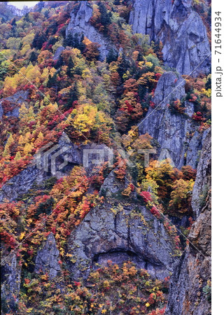 北海道豊平峡(ほうへいきょう)ダムの紅葉 北海道豊平峡(ほうへいきょう)ダムの紅葉 71644934