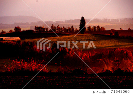 北海道南富良野の紅葉 71645066