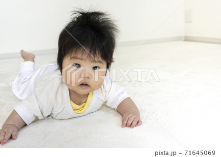 うつ伏せから頭を上げた赤ちゃん（0歳、生後4か月、女の子） 71645069