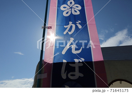 がんばれ！旗 71645175