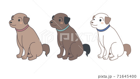 お座りした犬のイラスト・ベクター お座りした犬のイラスト・ベクター 71645400