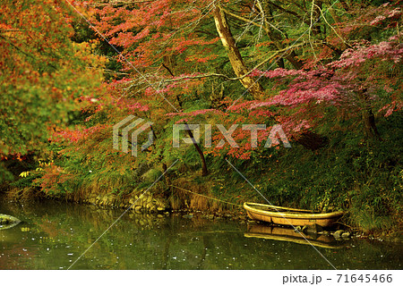 紅葉する木々に囲まれた池のボート 紅葉する木々に囲まれた池のボート 71645466