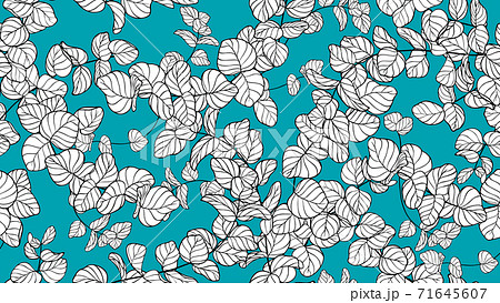 Floral seamless pattern, black and white Silver Dollar Eucalyptus leaves on blue background Floral seamless pattern, black and white Silver Dollar Eucalyptus leaves on blue background 71645607