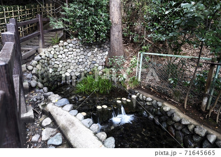 真姿の池湧水群 71645665