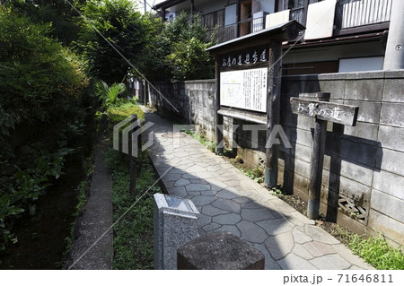 お鷹の道 お鷹の道 71646811
