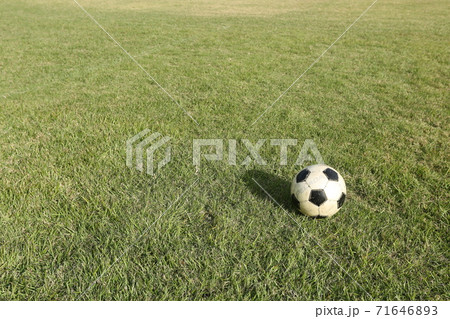 芝生の上のサッカーボール 71646893