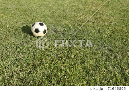 芝生の上のサッカーボールの写真素材