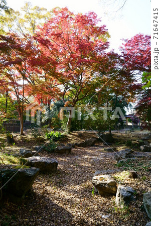 1483 7代目松本幸四郎別邸跡地 1483 7代目松本幸四郎別邸跡地 71647415