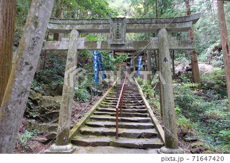 延岡市愛宕山 御手洗水神社参道 延岡市愛宕山 御手洗水神社参道 71647420