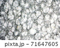薄手の発泡シートをスーパーマクロで透過撮影した模様 71647605