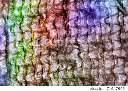 朝日を浴びるレースのカーテンの模様をスーパーマクロで撮影 71647606