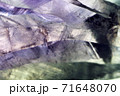 鉱物標本アメジストをスーパーマクロで透過撮影1 71648070