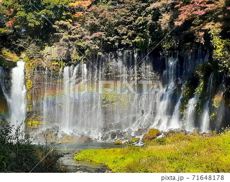 秋の紅葉の季節の富士山の麓にある虹がかかった白糸の滝の写真素材