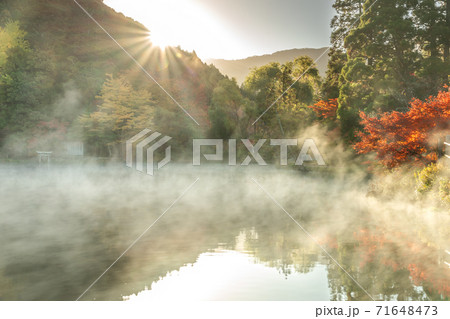 金鱗湖と朝靄 金鱗湖と朝靄 71648473