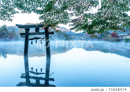 秋の水上鳥居 71648474