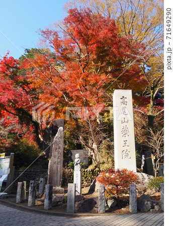 高尾山　紅葉 71649290
