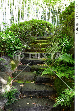 紅葉間近 秋の丈山苑 詩泉閣 紅葉間近 秋の丈山苑 詩泉閣 71649988