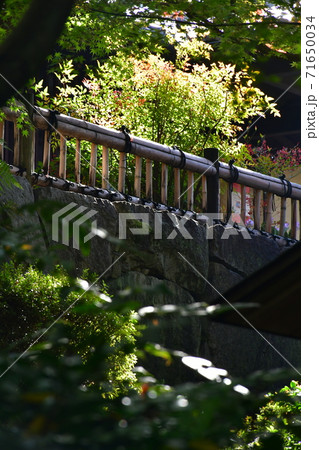 紅葉間近 秋の丈山苑 詩泉閣 紅葉間近 秋の丈山苑 詩泉閣 71650034