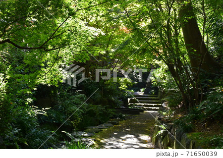 紅葉間近　秋の丈山苑　詩泉閣 71650039