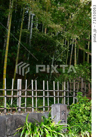 紅葉間近 秋の丈山苑 詩泉閣 紅葉間近 秋の丈山苑 詩泉閣 71650063