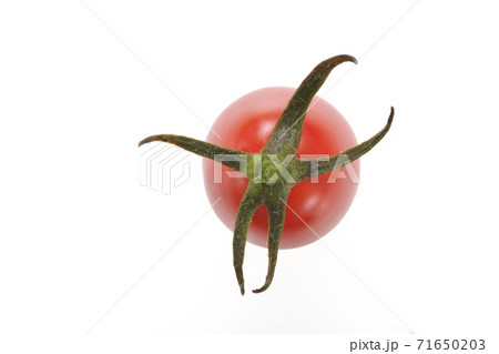 カラフルミニトマト カラフルミニトマト 71650203