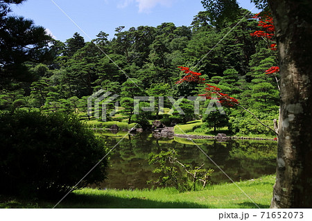 池泉回遊式庭園の夏 71652073