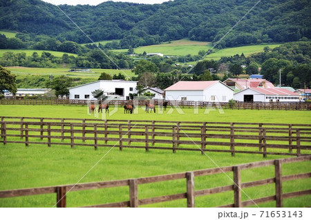 牧場の風景(北海道新冠町) 牧場の風景(北海道新冠町) 71653143