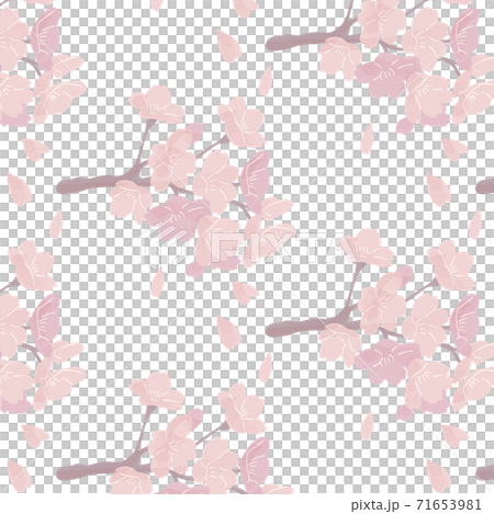 櫻花圖案手繪插畫 櫻花圖案手繪插畫 71653981