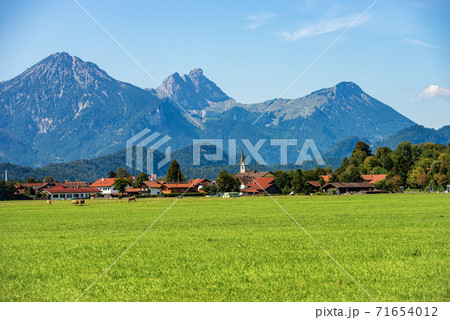 Green Agricultural Fields and Bavarian Alps - Schwangau Germany 71654012