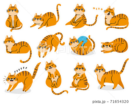 Cat poses. Cartoon red fat striped cats... - Stock Illustration [71654320]  - PIXTA