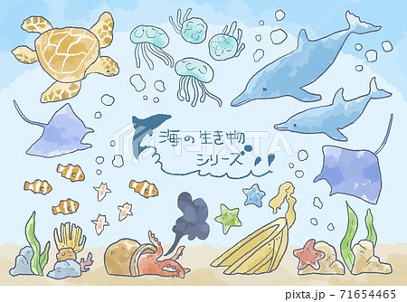 優しいタッチの海の生き物イラストセットのイラスト素材 [71654465